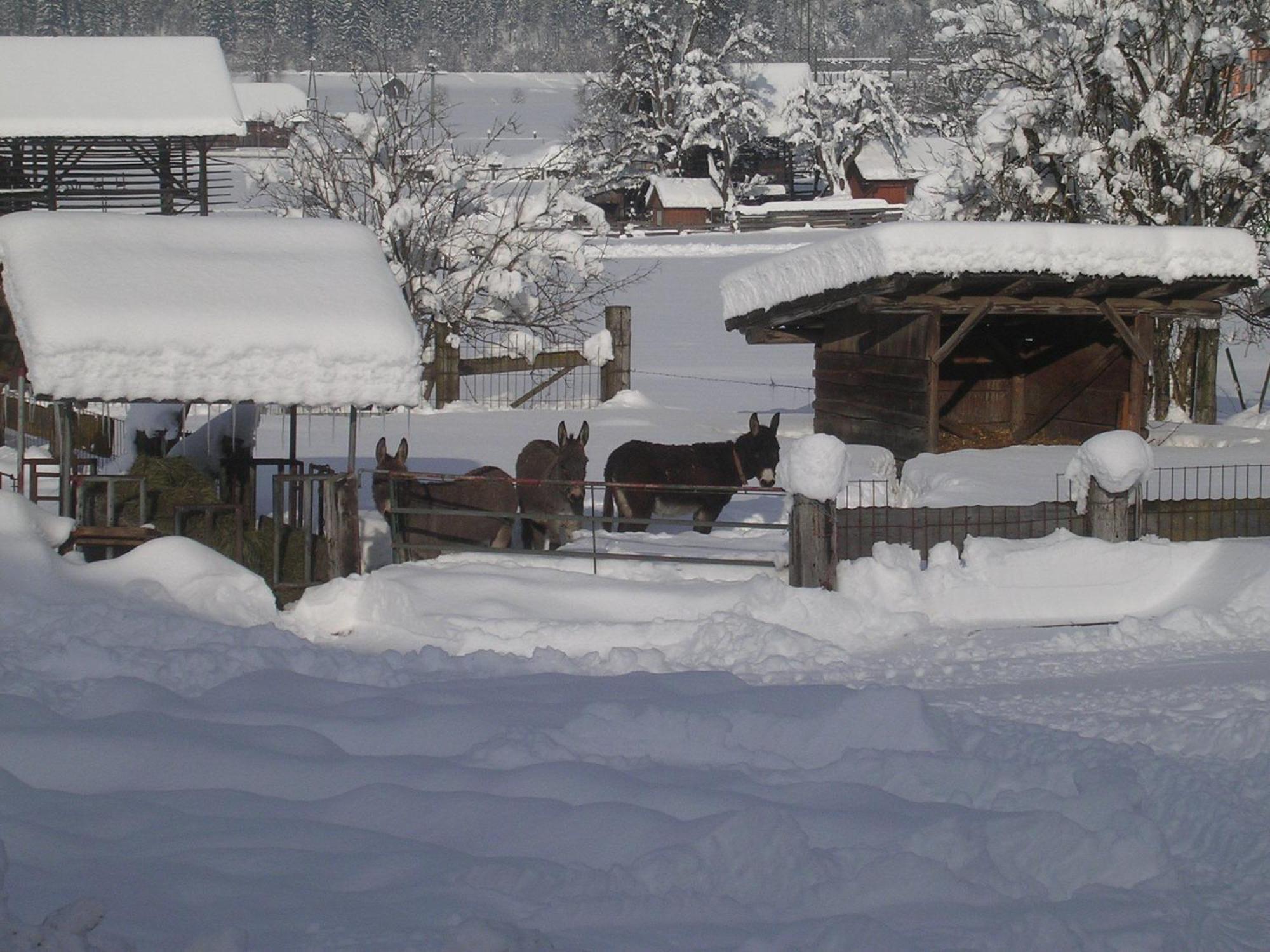 Hotel Beim Winkler Tröpolach Exteriér fotografie